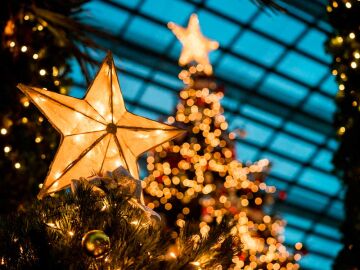 Echo show rutina navidad