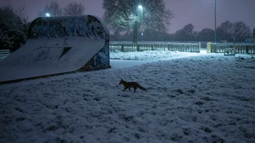 Reino Unido sufre una fuerte nevada