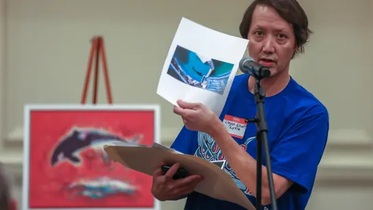 Piden que la orca Lolita sea devuelta a su casa. Piden que la orca Lolita sea devuelta a su casa.