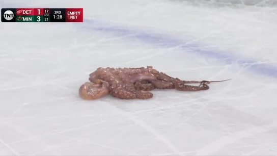 Un pulpo sobre un campo de hockey sobre hielo Un pulpo sobre un campo de hockey sobre hielo