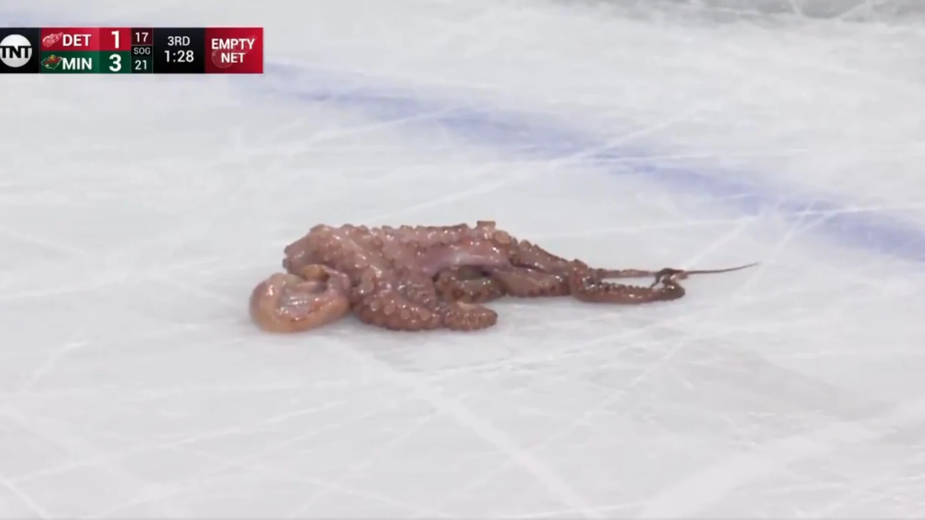 Un pulpo sobre un campo de hockey sobre hielo