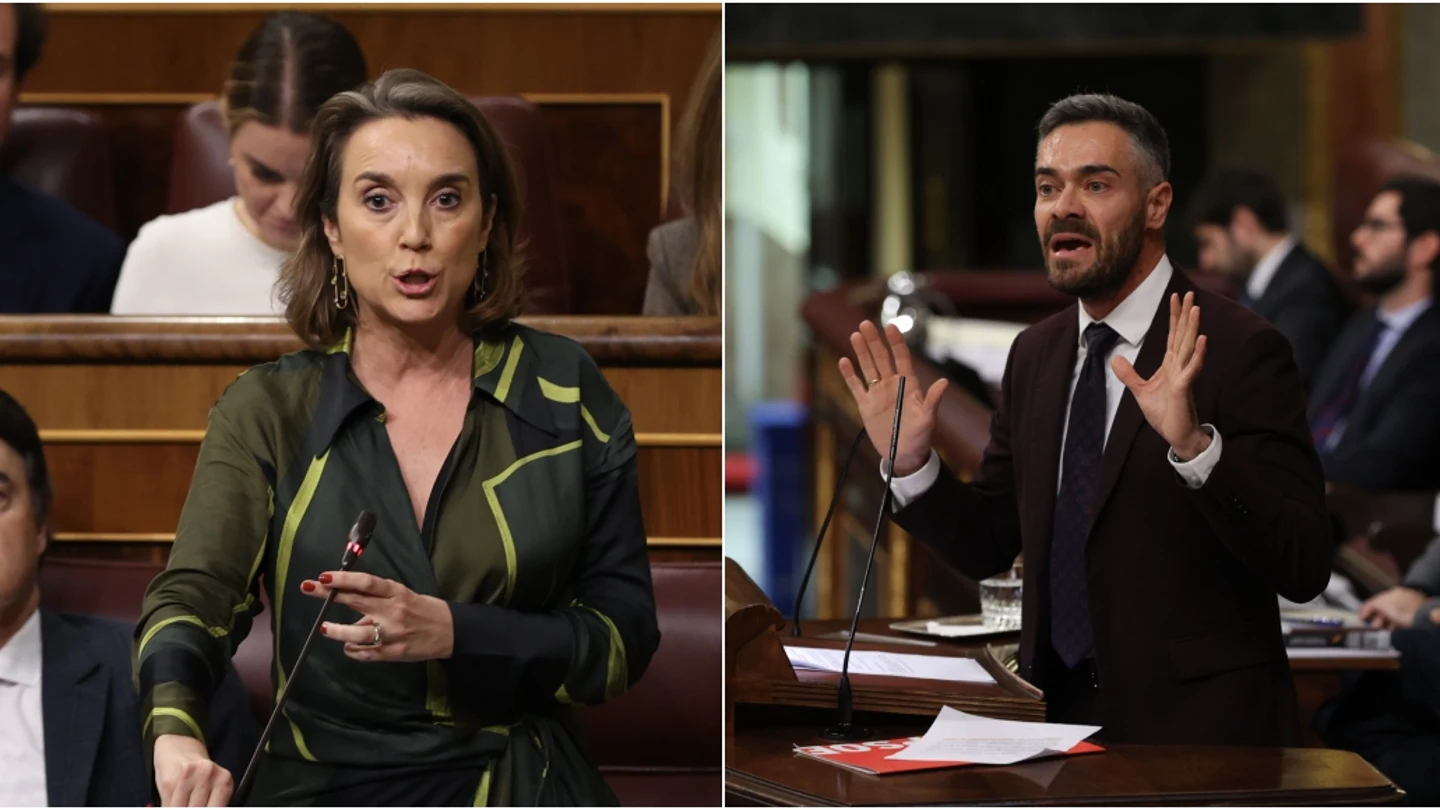 Bronca y gritos en el Congreso por la reforma del TC Bronca y gritos en el Congreso por la reforma del TC