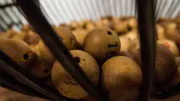 Evita estafas con la Lotería Evita estafas con la Lotería