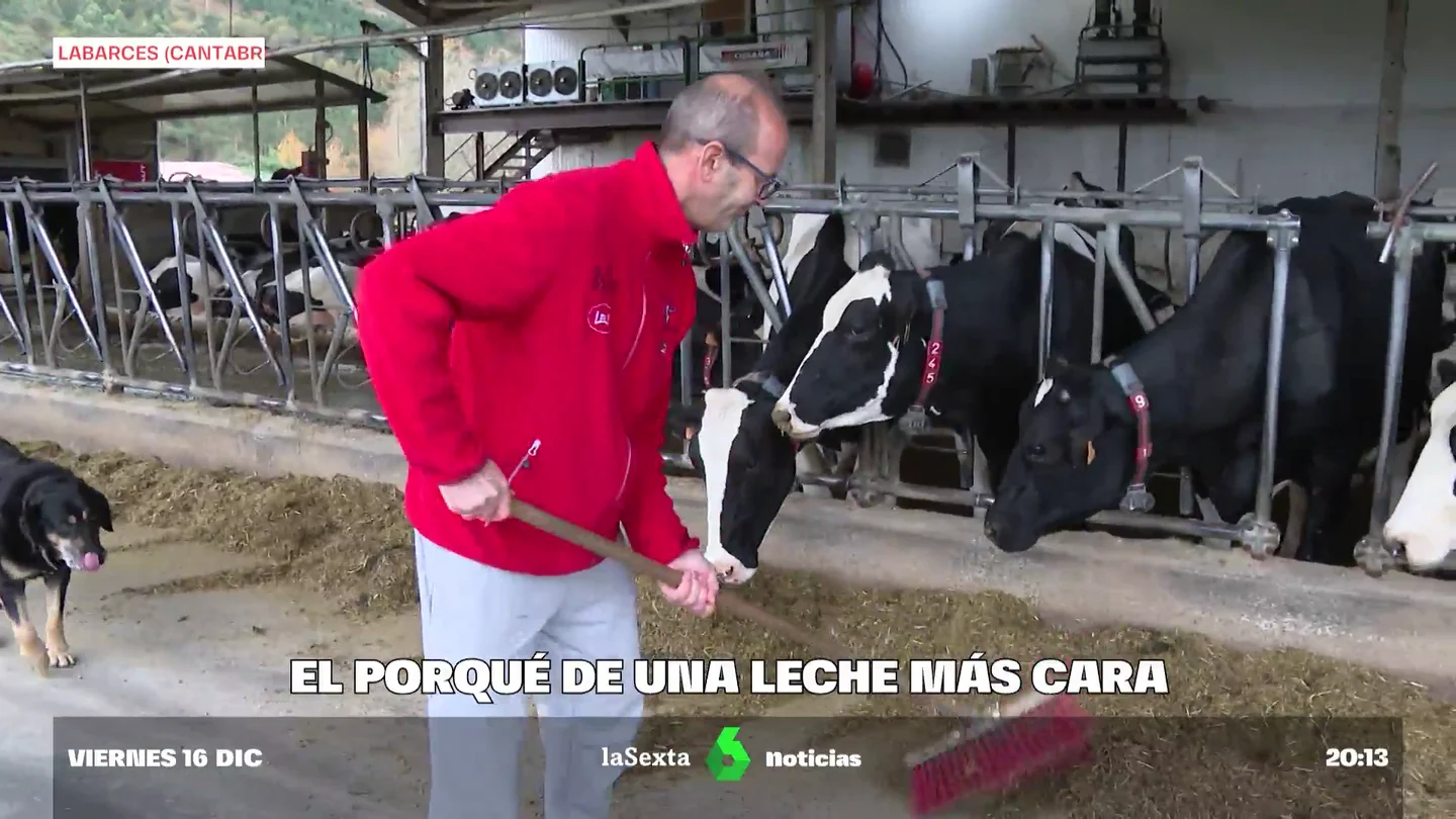 ¿Por qué ha subido tanto el precio de la leche? La intrahistoria de un incremento que no ha hecho más que empezar ¿Por qué ha subido tanto el precio de la leche? La intrahistoria de un incremento que no ha hecho más que empezar