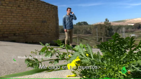 Madre de 'El Patrón' Madre de 'El Patrón'