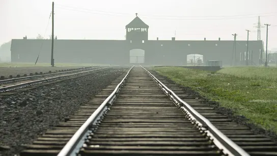 Condenan a dos años de libertad condicional a una anciana por complicidad en 11.000 asesinatos del nazismo Condenan a dos años de libertad condicional a una anciana por complicidad en 11.000 asesinatos del nazismo