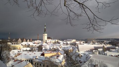Tallin