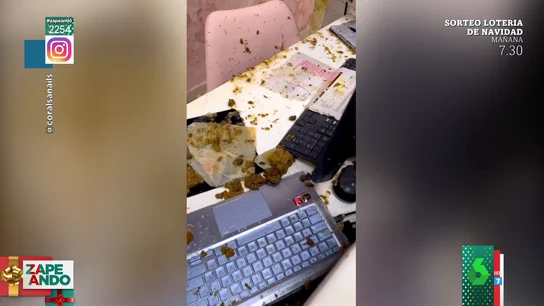 Así caen trozos de caca en un centro de estética por culpa de una tubería rota Así caen trozos de caca en un centro de estética por culpa de una tubería rota