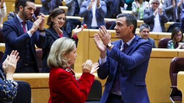 El presidente del Gobierno, Pedro Sánchez es aplaudido por su grupo tras intervenir en el pleno del Senado.