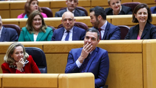 El presidente del Gobierno, Pedro Sánchez durante el pleno del Senado, este miércoles en Madrid. El presidente del Gobierno, Pedro Sánchez durante el pleno del Senado, este miércoles en Madrid.