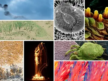 Las mejores imagenes cientificas de 2022 segun FOTCIENCIA Las mejores imagenes cientificas de 2022 segun FOTCIENCIA