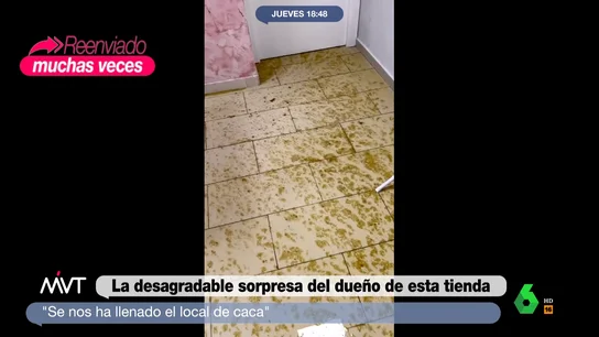 La reacción de Cristina Pardo al ver la tienda viral llena de caca: "¡Qué asco por favor, es una guarrada!" La reacción de Cristina Pardo al ver la tienda viral llena de caca: "¡Qué asco por favor, es una guarrada!"