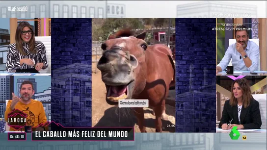LA ROCA - PERRO TRISTE Y CABALLO FELIZ LA ROCA - PERRO TRISTE Y CABALLO FELIZ