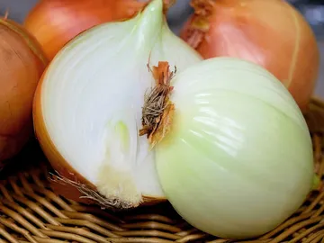 Cebolla Cebolla