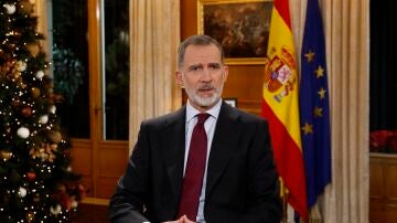 Felipe VI llama a fortalecer las instituciones para que "respondan al interés general y ejerciten sus funciones con colaboración leal"