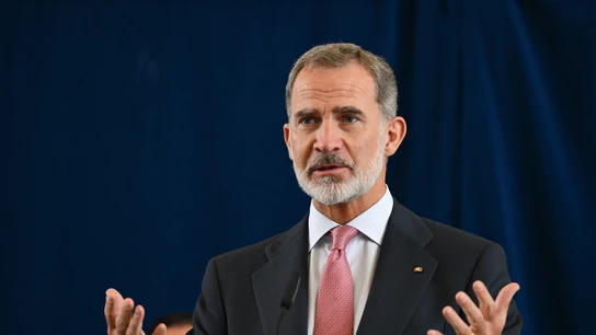El rey Felipe VI El rey Felipe VI