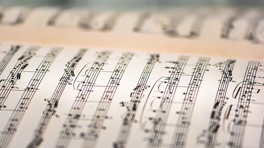 Cómo se llama la sexta sinfonía de Beethoven, cuándo la compuso y por qué es importante Cómo se llama la sexta sinfonía de Beethoven, cuándo la compuso y por qué es importante