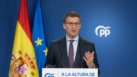 Fejióo hace balance del año: "El PP goza de muy buena salud, como en sus mejores momentos" Fejióo hace balance del año: "El PP goza de muy buena salud, como en sus mejores momentos"