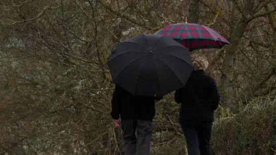 El año se despide con calor en todo el país (menos en Galicia donde lo hará con lluvias) El año se despide con calor en todo el país (menos en Galicia donde lo hará con lluvias)