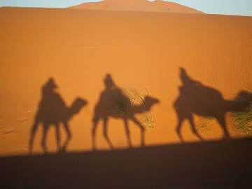 ¿Por dónde vienen los Reyes Magos? ¿Por dónde vienen los Reyes Magos?