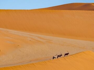 Estas son las dunas más espectaculares del mundo