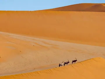 Estas son las dunas más espectaculares del mundo Estas son las dunas más espectaculares del mundo