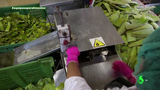 "Podría haber intoxicaciones": el aviso sobre el compuesto que incluye el aloe vera "Podría haber intoxicaciones": el aviso sobre el compuesto que incluye el aloe vera