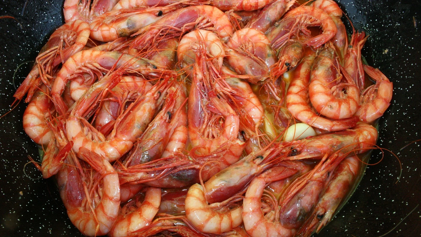 Imagen de un plato de gambas al ajillo. Imagen de un plato de gambas al ajillo.