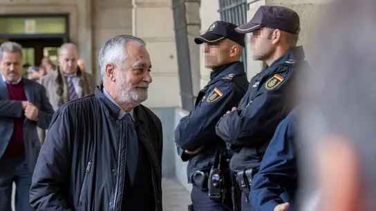 El expresidente José Antonio Griñán, a su llegada a la Audiencia de Sevilla. El expresidente José Antonio Griñán, a su llegada a la Audiencia de Sevilla.