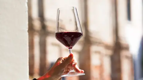 Imagen de una copa de vino tinto Imagen de una copa de vino tinto
