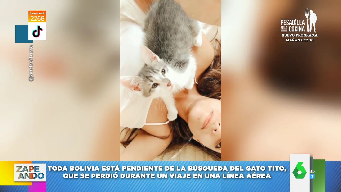 La surrealista búsqueda del gatito Tito que paraliza Bolivia e involucra a ministros La surrealista búsqueda del gatito Tito que paraliza Bolivia e involucra a ministros