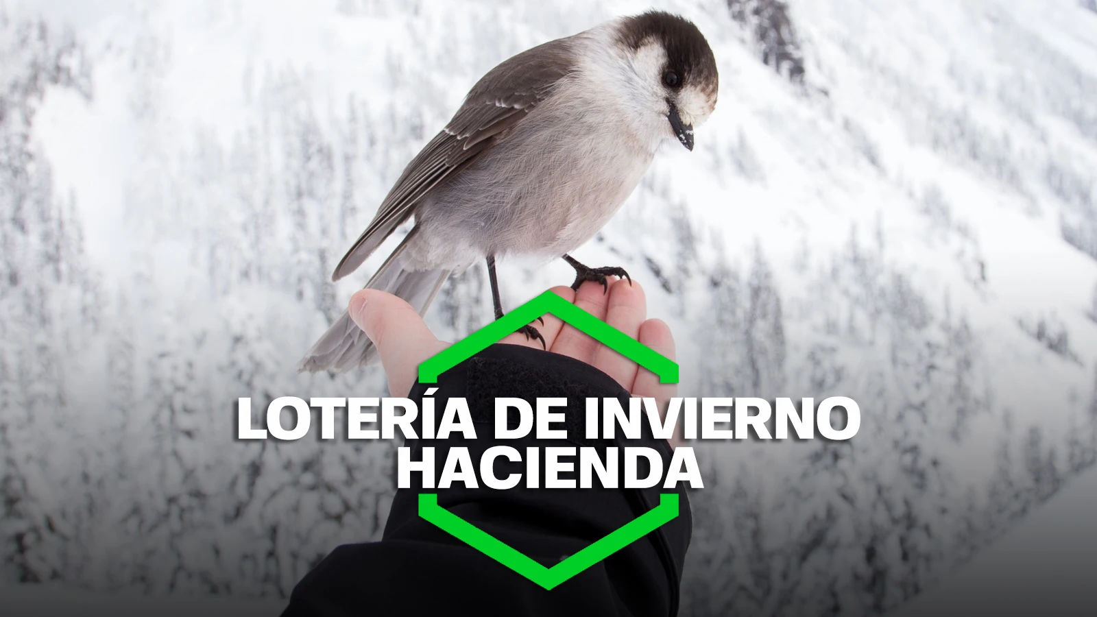 ¿Cuánto se queda Hacienda de la Lotería de Invierno?