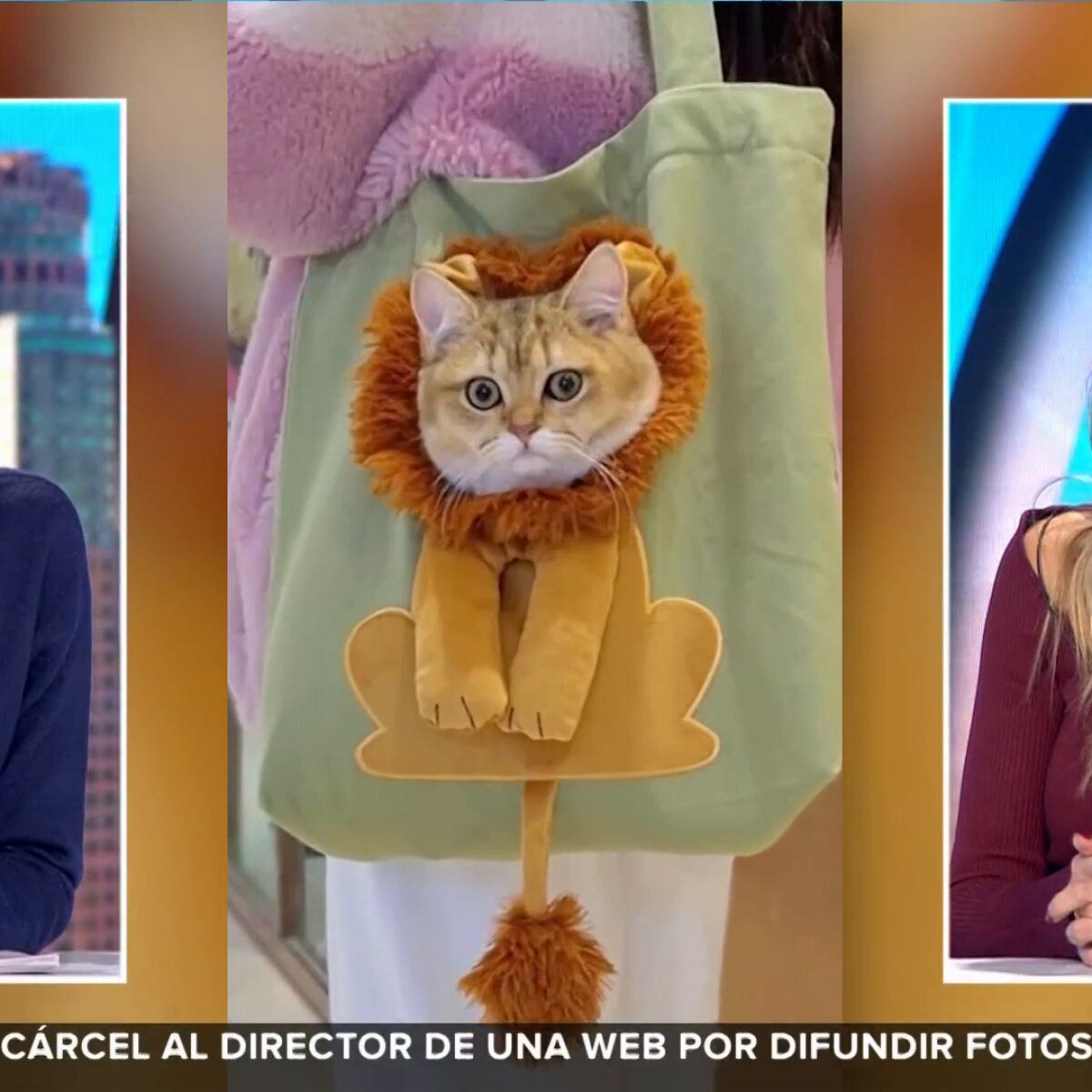 Este es el adorable bolso que va a conquistar a todo aquel que tenga un gato en casa