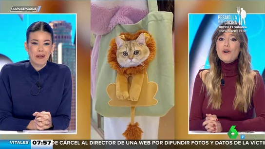 Este es el adorable bolso que va a conquistar a todo aquel que tenga un gato en casa Este es el adorable bolso que va a conquistar a todo aquel que tenga un gato en casa