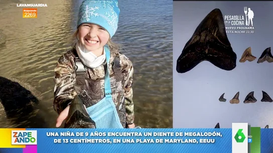 Una niña se encunetra un diente de megalodón en la playa Una niña se encunetra un diente de megalodón en la playa