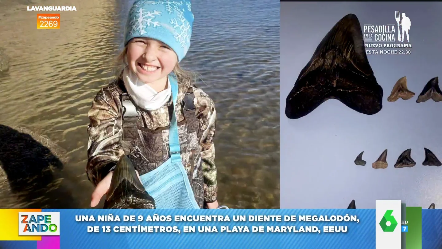 Una niña se encunetra un diente de megalodón en la playa Una niña se encunetra un diente de megalodón en la playa