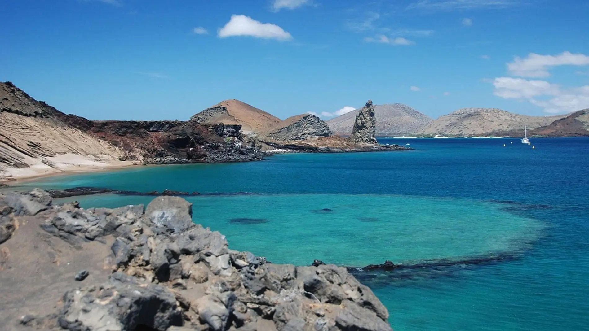 Islas Galápagos, el lugar que visitó Darwin para estudiar la evolución de su fauna y flora