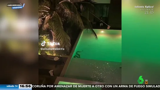 El susto de unos turistas al ver una serpiente gigante en la piscina de su hotel de Tailandia El susto de unos turistas al ver una serpiente gigante en la piscina de su hotel de Tailandia