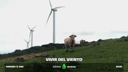 Más de 20 años girando en el Monte Forgoselo: un éxito de convivencia de lo renovable y lo agropecuario Más de 20 años girando en el Monte Forgoselo: un éxito de convivencia de lo renovable y lo agropecuario