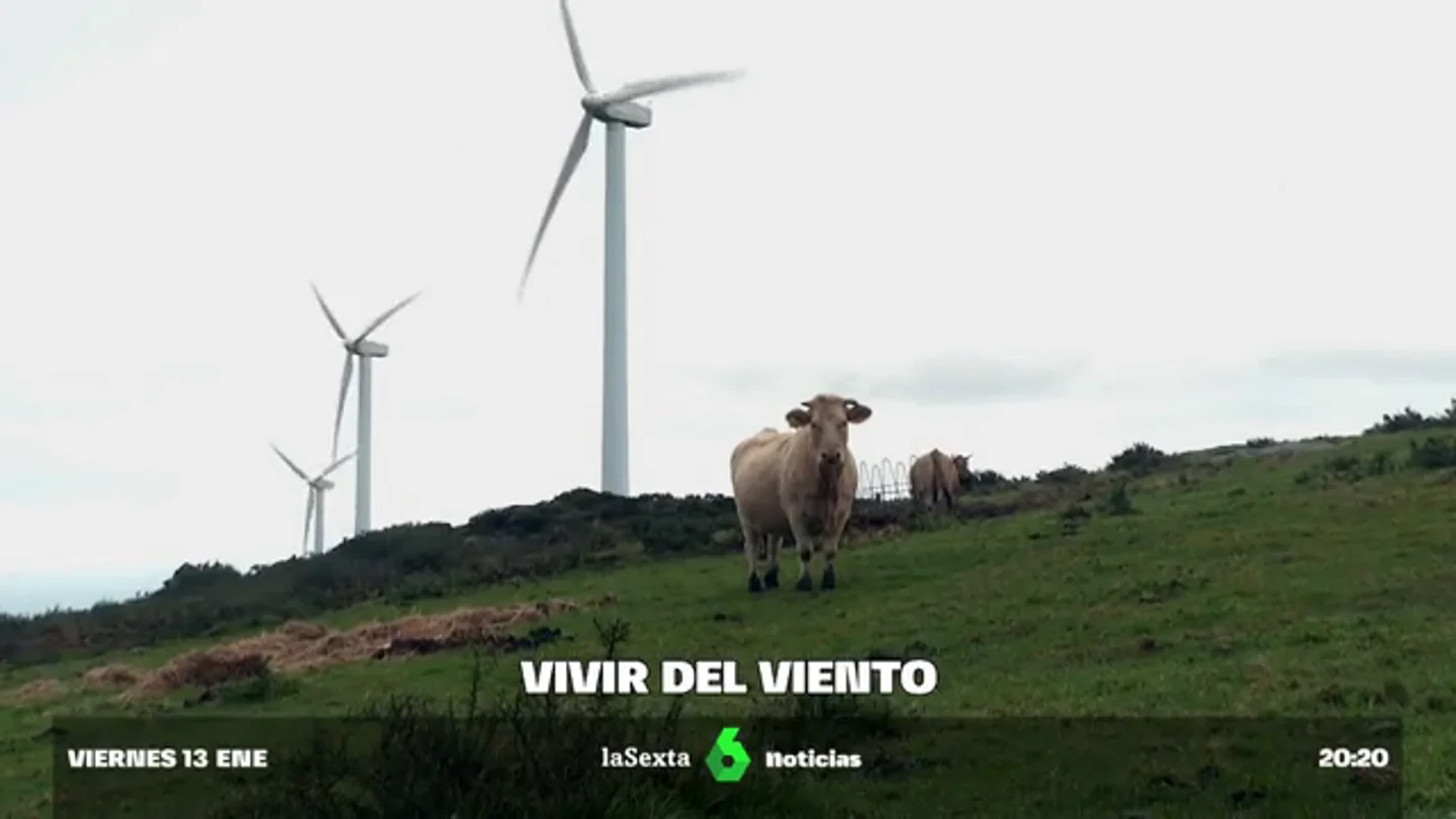 Más de 20 años girando en el Monte Forgoselo: un éxito de convivencia de lo renovable y lo agropecuario Más de 20 años girando en el Monte Forgoselo: un éxito de convivencia de lo renovable y lo agropecuario