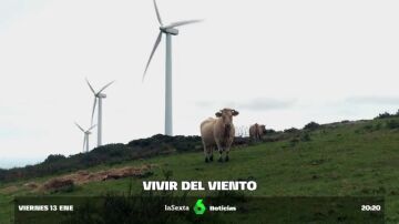 Más de 20 años girando en el Monte Forgoselo: un éxito de convivencia de lo renovable y lo agropecuario
