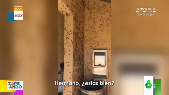 Un grupo encierra a su amigo en un baño público infestado de cucarachas y el vídeo se vuelve viral Un grupo encierra a su amigo en un baño público infestado de cucarachas y el vídeo se vuelve viral