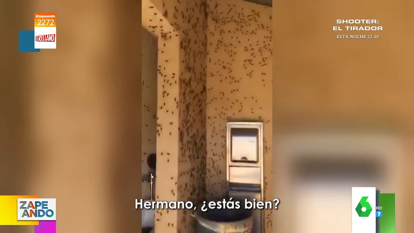 Un grupo encierra a su amigo en un baño público infestado de cucarachas y el vídeo se vuelve viral Un grupo encierra a su amigo en un baño público infestado de cucarachas y el vídeo se vuelve viral