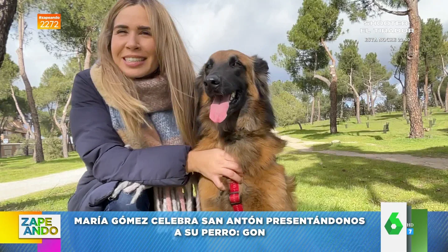 Así son los perros y gatos de Dani Mateo, Thais Villas, Valeria Ros, María Gómez y Maya Pixelskaya: "Es lo mejor que me ha pasado" Así son los perros y gatos de Dani Mateo, Thais Villas, Valeria Ros, María Gómez y Maya Pixelskaya: "Es lo mejor que me ha pasado"