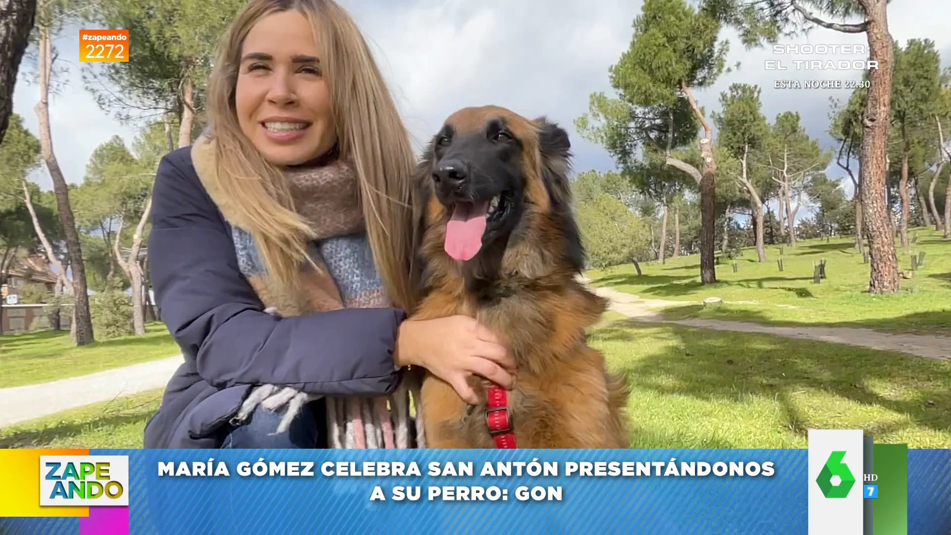 Así son los perros y gatos de Dani Mateo, Thais Villas, Valeria Ros, María Gómez y Maya Pixelskaya: "Es lo mejor que me ha pasado"