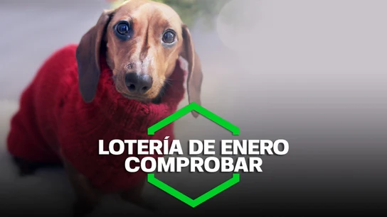 Comprobar Lotería Nacional: Sorteo Especial del 21 de enero Comprobar Lotería Nacional: Sorteo Especial del 21 de enero