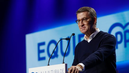 El líder del PP, Alberto Núñez Feijóo El líder del PP, Alberto Núñez Feijóo/ EFE/ Javier Belver