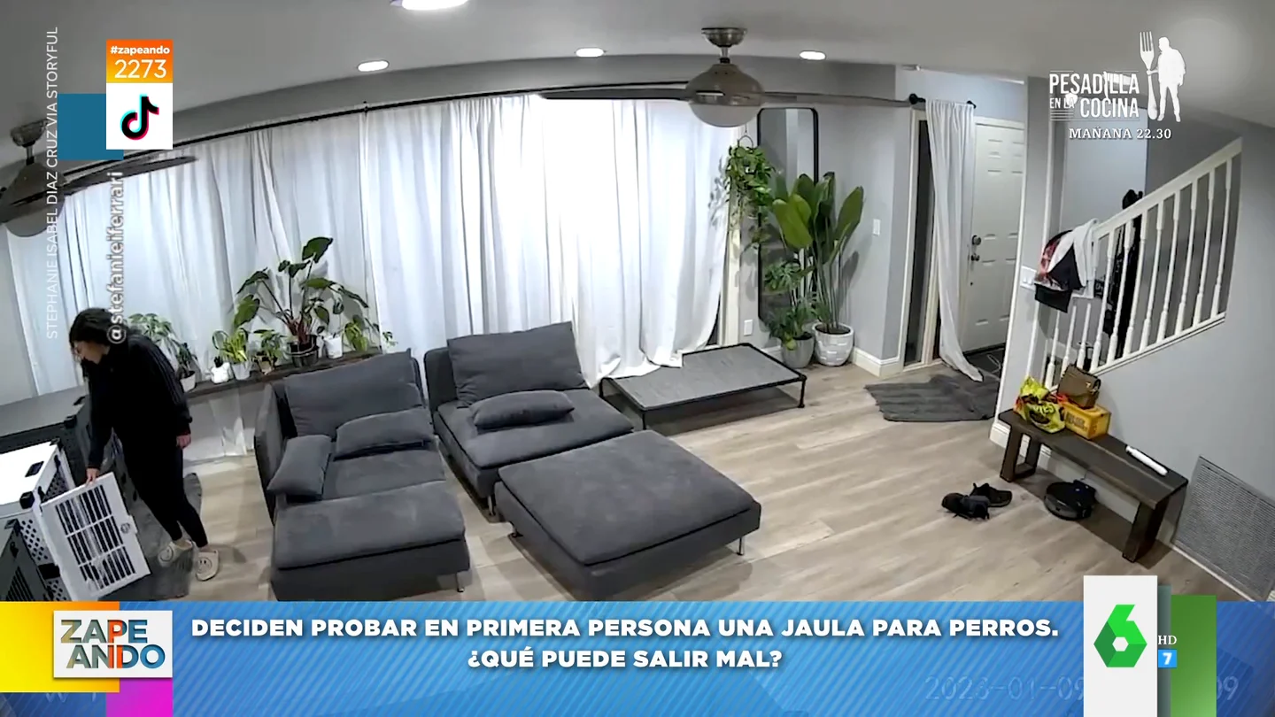 Así consiguen escapar una pareja de 'iluminados' que prueban las jaulas para sus perros y se quedan encerrados Así consiguen escapar una pareja de 'iluminados' que prueban las jaulas para sus perros y se quedan encerrados