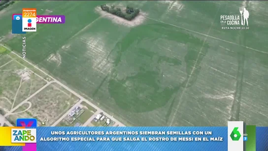 Así logran que aparezca el rostro de Messi en un campo de maíz Así logran que aparezca el rostro de Messi en un campo de maíz
