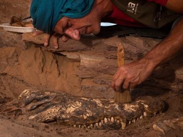 Descubren en Egipto una tumba con diez momias de cocodrilo